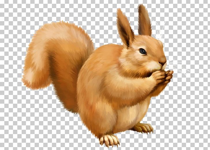 Squirrel Scrat PNG, Clipart, Animals, Chipmunk, Computer Icons, Domestic Rabbit, Download Free PNG Download