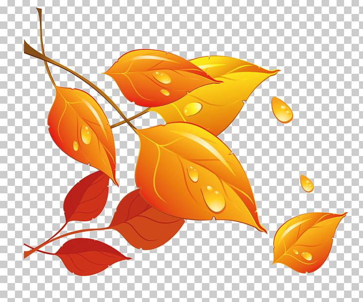 Autumn Leaf PNG, Clipart, Art, Autumn, Autumn Leaf, Autumn Leaf Color, Clip Art Free PNG Download