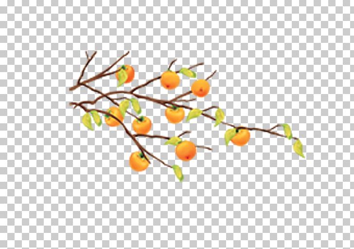 Cartoon Fruit Tree Tangerine PNG, Clipart, Autumn, Autumn Leaves, Branch, Branches, Christmas Tree Free PNG Download
