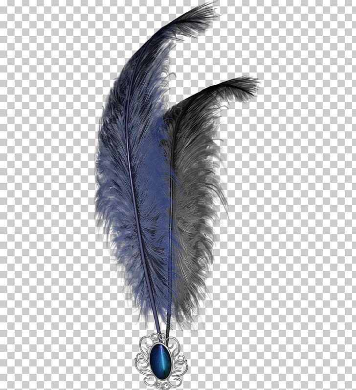 Feather Blog PNG, Clipart, Animals, Blog, Chemical Element, Clip Art, Color Free PNG Download