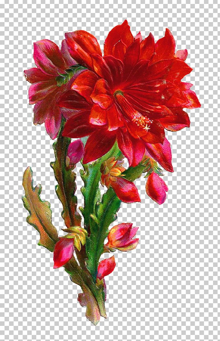 Flower Bouquet PNG, Clipart, Alstroemeriaceae, Beauty, Canna Family, Canna Lily, Cut Flowers Free PNG Download