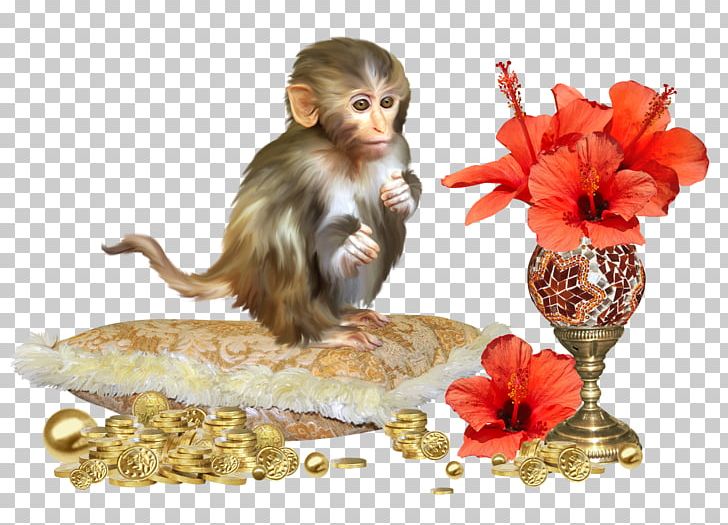 Flower Photography PNG, Clipart, Animals, Black Monkey, Carnivoran, Cartoon Monkey, Cat Free PNG Download