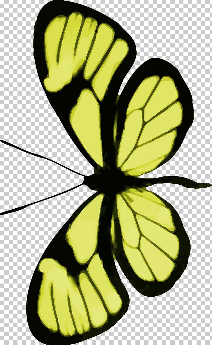 Butterfly Computer Icons PNG, Clipart, Arthropod, Artwork, Brush Footed Butterfly, Butterflies And Moths, Butterfly Free PNG Download