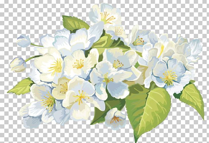 Flower Photography PNG, Clipart, Birdandflower Painting, Blossom, Branch, Cornales, Drawing Free PNG Download