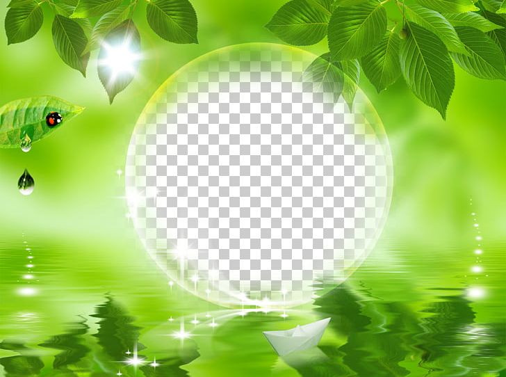 Frames Photography Blog PNG, Clipart, Animation, Blog, Camera, Computer Icons, Computer Wallpaper Free PNG Download