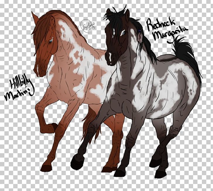 Mane Mustang Stallion Foal Colt PNG, Clipart, Bit, Bridle, Colt, English Riding, Foal Free PNG Download
