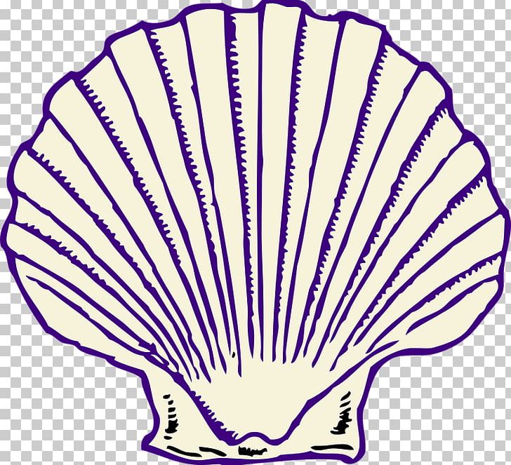 Seashell PNG, Clipart, Animals, Area, Art, Artwork, Document Free PNG Download