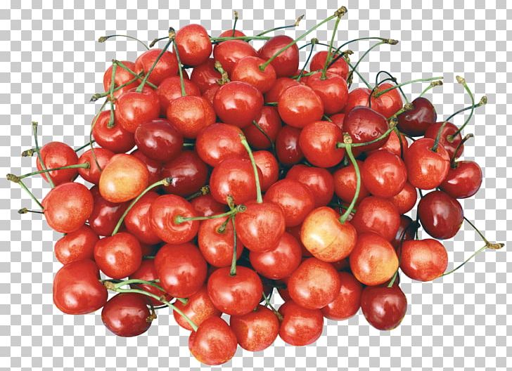 Aedmaasikas Sweet Cherry Auglis Fruit PNG, Clipart, Acerola, Acerola Family, Aedmaasikas, Auglis, Berry Free PNG Download