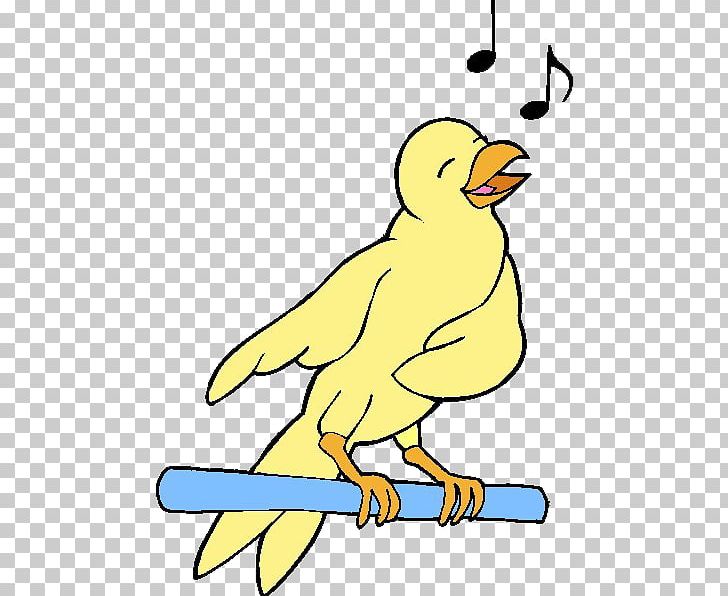 Singing Birds png images