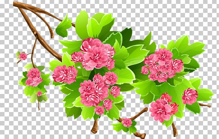Flower Arranging Branch Others PNG, Clipart, Annual Plant, Blossom, Branch, Computer Icons, Cut Flowers Free PNG Download