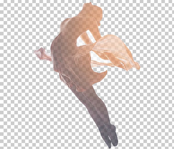 Performing Arts Ballet Dancer Ballet Dancer Contemporary Dance PNG, Clipart, Arm, Art, Ballet, Ballet Dancer, Contemporary Ballet Free PNG Download