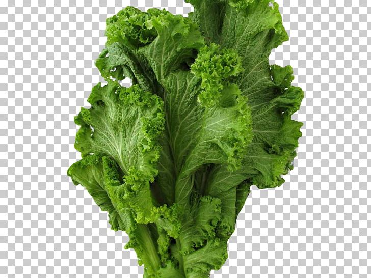 Romaine Lettuce Brassica Juncea Collard Greens Kale Spring Greens PNG, Clipart, Brassica Juncea, Broccoli, Cabbage, Cabbages, Capitata Group Free PNG Download