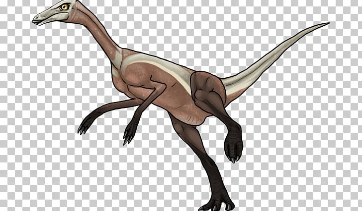 Grande Prairie Velociraptor Philip J. Currie Dinosaur Museum Wapiti Formation PNG, Clipart, Animal, Animal Figure, Beak, Common Ostrich, Dinosaur Free PNG Download