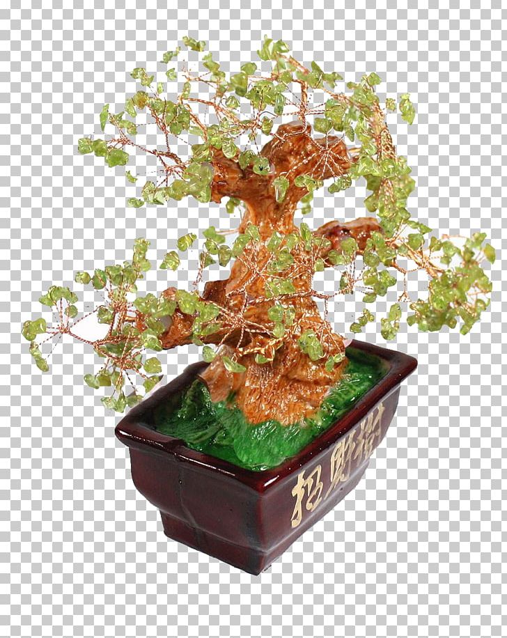 Sageretia Theezans Bonsai Tree Flowerpot PNG, Clipart, Bonsai, Christmas Tree, Computer Icons, Decorative, Decorative Material Free PNG Download