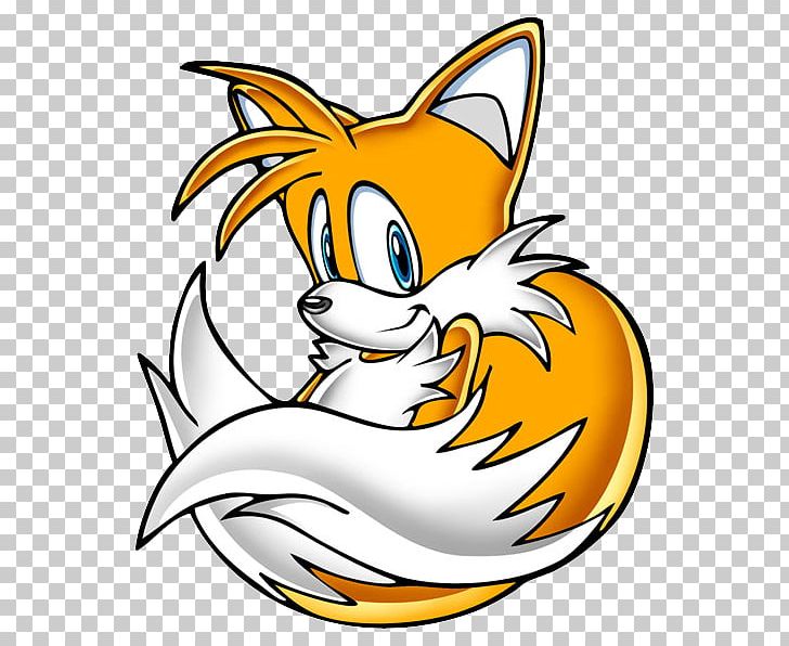 Tails Knuckles The Echidna Amy Rose Sonic Adventure 2 PNG, Clipart, Amy Rose, Artwork, Big The Cat, Carnivoran, Cat Free PNG Download