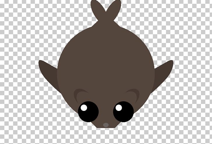 Whiskers Cat Bat Dog Snout PNG, Clipart, Animals, Bat, Canidae, Carnivoran, Cartoon Free PNG Download