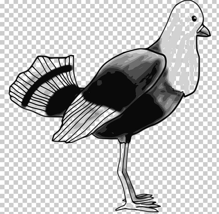 Bird Computer Icons PNG, Clipart, Anatidae, Animals, Art, Beak, Bird Free PNG Download