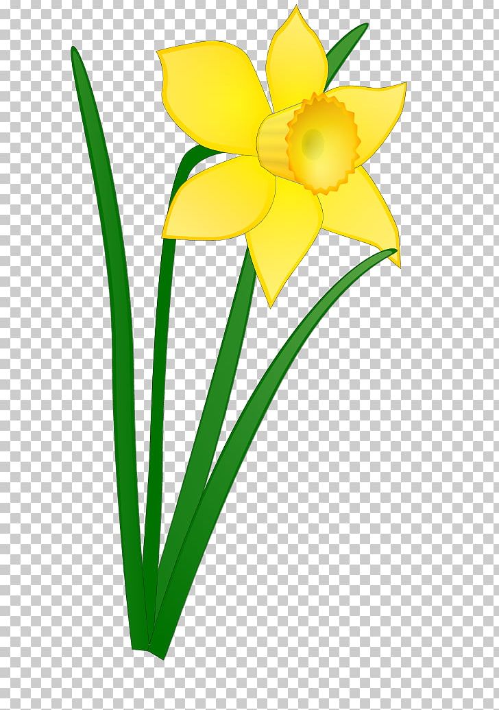 Daffodil Flower PNG, Clipart, Amaryllis Family, Artwork, Blog, Cut Flowers, Daffodil Free PNG Download