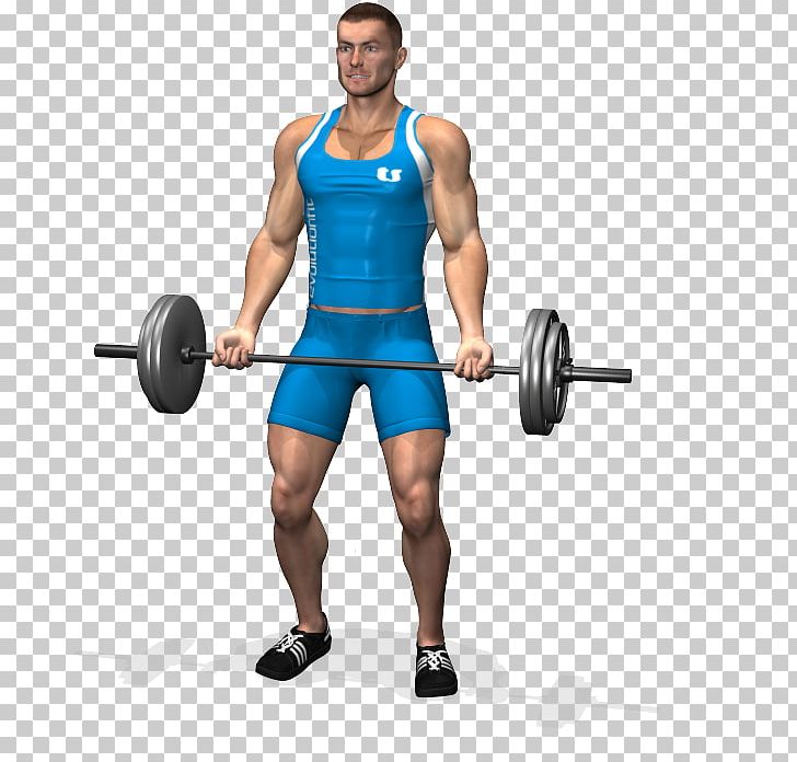 Biceps Curl Barbell Physical Exercise Dumbbell PNG, Clipart, Abdomen, Arm, Bodybuilder, Fitness Centre, Fitness Professional Free PNG Download