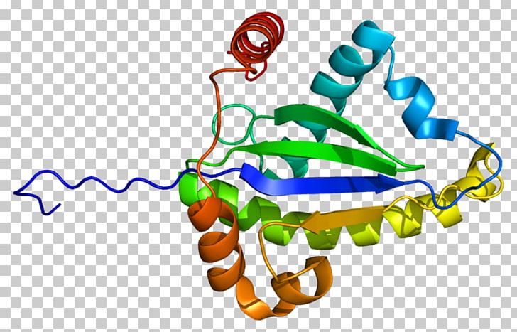 TRADD Signal Transducing Adaptor Protein Death Domain TNF Receptor Superfamily Tumor Necrosis Factor Alpha PNG, Clipart, 1 F, Area, Artwork, Body Jewelry, Leaf Free PNG Download