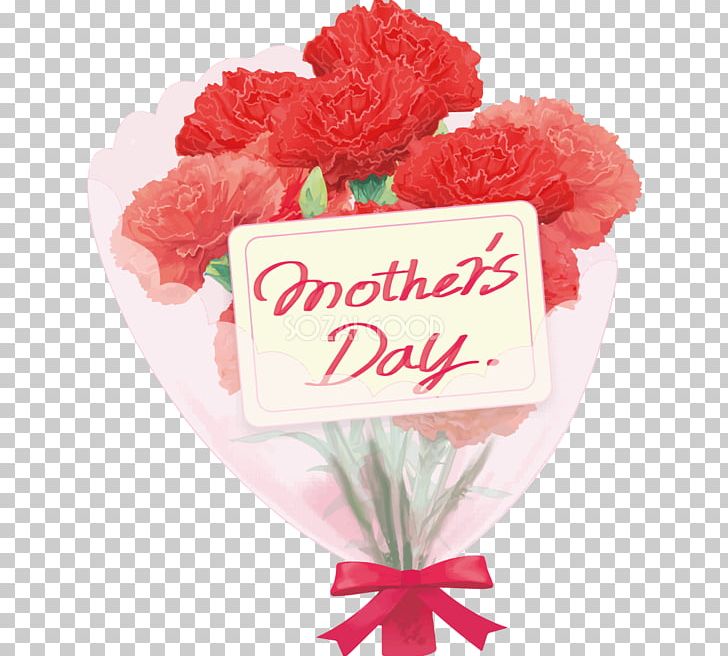 Carnation Mother's Day Cut Flowers Flower Bouquet PNG, Clipart,  Free PNG Download
