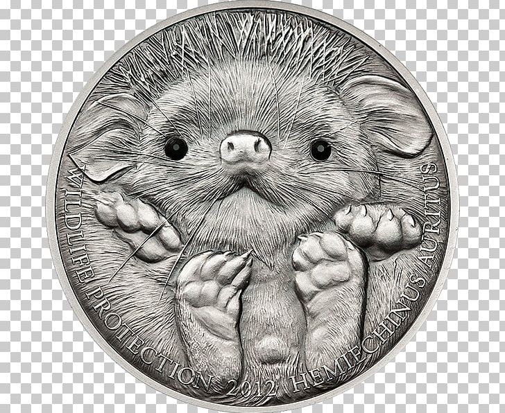 Mongolian Tögrög Long-eared Hedgehog Silver Coin PNG, Clipart, Black And White, Carnivoran, Coin, Drawing, Erinaceidae Free PNG Download