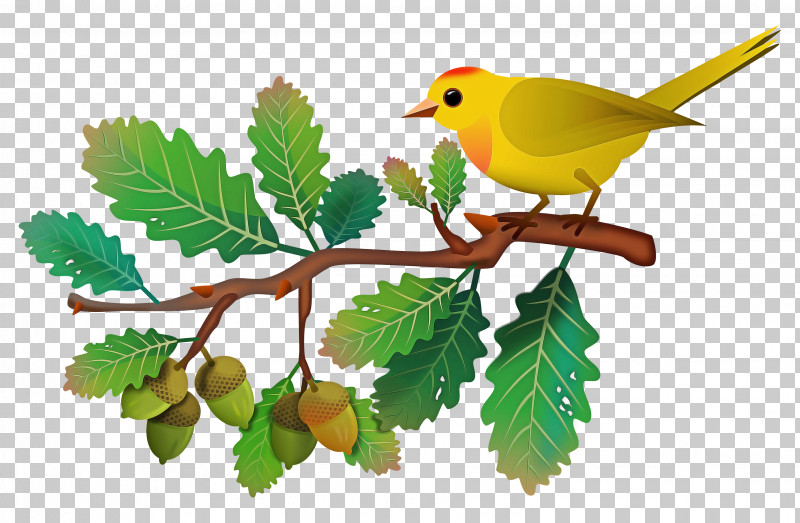 European Robin Birds Old World Orioles Leaf Beak PNG, Clipart, Beak, Biology, Birds, Europe, European Robin Free PNG Download