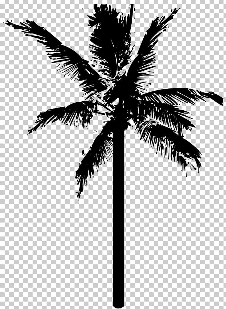 Coconut Tree PNG, Clipart, Arecaceae, Arecales, Black And White, Borassus Flabellifer, Branch Free PNG Download