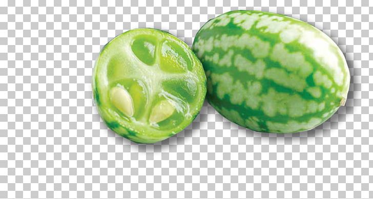 Melothria Scabra Muskmelon Seed Fruit PNG, Clipart, Bean, Bitter Melon, Cucumber, Food, Fruit Free PNG Download