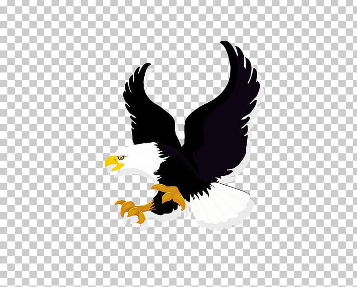 Vexel Illustration PNG, Clipart, Accipitriformes, Animal, Bald Eagle, Beak, Bird Free PNG Download