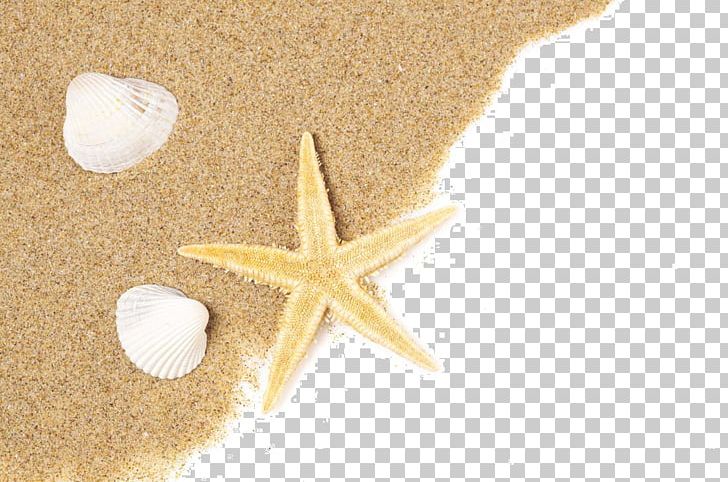 Beach Of La Concha Starfish Seashell Sand PNG, Clipart, 2016 Time, Animals, Beach, Beautiful, Download Free PNG Download