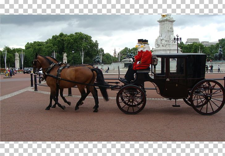 Buckingham Palace Horse And Buggy Royal Mews Victoria Memorial PNG, Clipart, Animals, Buckingham Palace, Carriage, Cart, Cart Before The Horse Free PNG Download