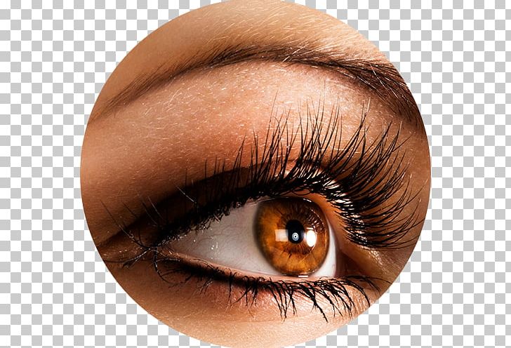 Eyelash Extensions Artificial Hair Integrations Beauty Parlour Cosmetics PNG, Clipart, Artificial Hair Integrations, Beauty Parlour, Closeup, Cosmetics, Eye Free PNG Download