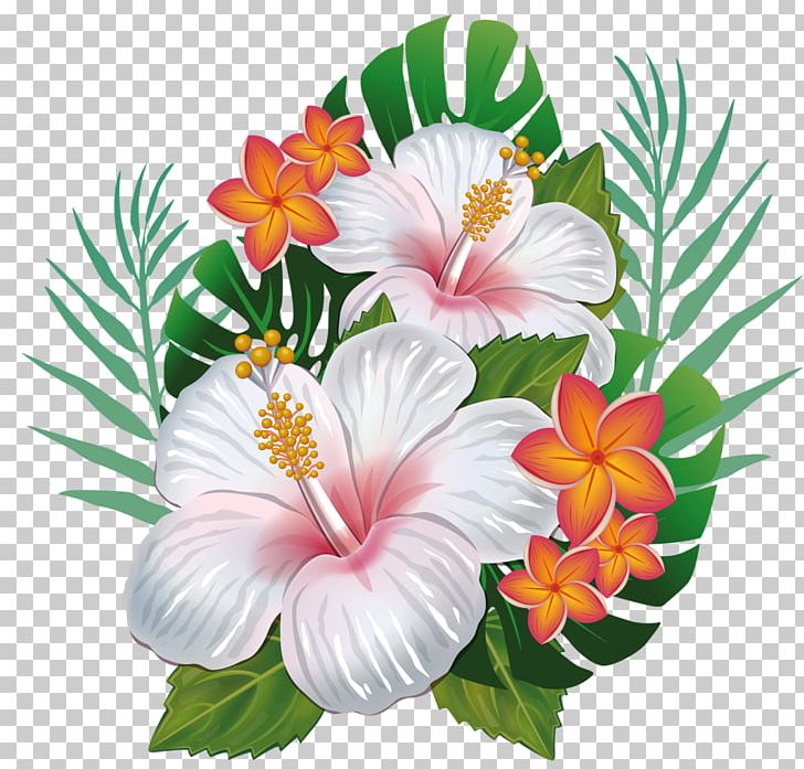 Hawaiian Hibiscus Hawaiian Hibiscus Flower PNG, Clipart, Annual Plant, Common Daisy, Cut Flowers, Encapsulated Postscript, Floral Design Free PNG Download