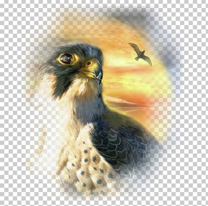 Painting Falcon Bird Art Canvas PNG, Clipart, Art, Artist, Beak, Bird, Bird Of Prey Free PNG Download