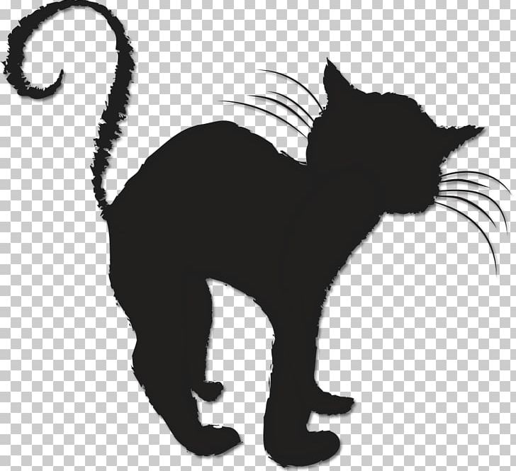 Black Cat Friday The 13th Kitten Whiskers PNG, Clipart, Animals, Black, Carnivoran, Cat, Cat Like Mammal Free PNG Download