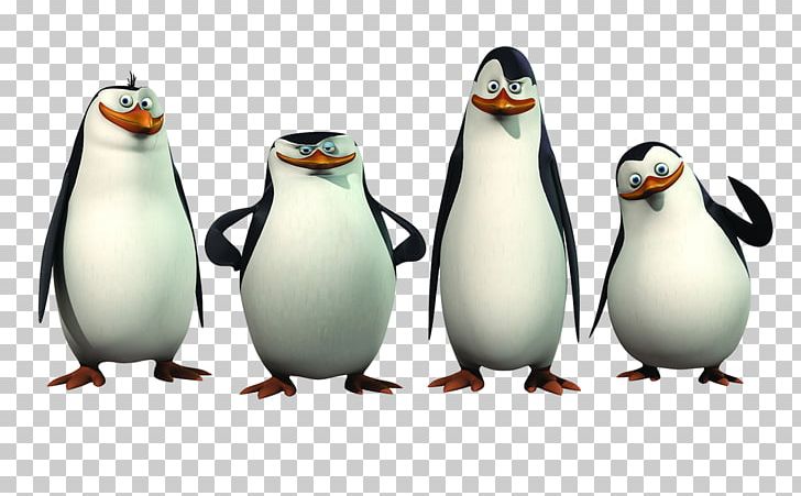 Kowalski Skipper Madagascar Animation Film PNG, Clipart, Animation, Beak, Bird, Cartoon, Cinema Free PNG Download
