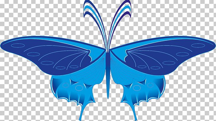 Nymphalidae Butterfly Symmetry Microsoft Azure PNG, Clipart, Azure, Brush Footed Butterfly, Butterfly, Butterfly Vector, Insect Free PNG Download