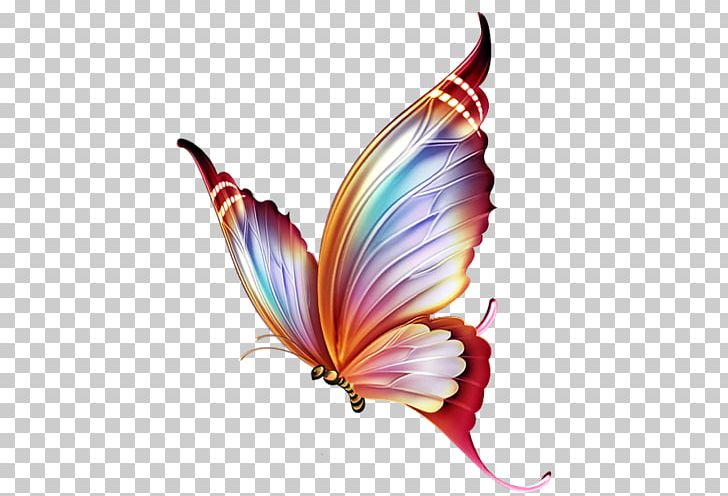 Butterfly Paper Drawing Pencil PNG, Clipart, Art, Arthropod, Butterflies And Moths, Butterfly, Color Free PNG Download