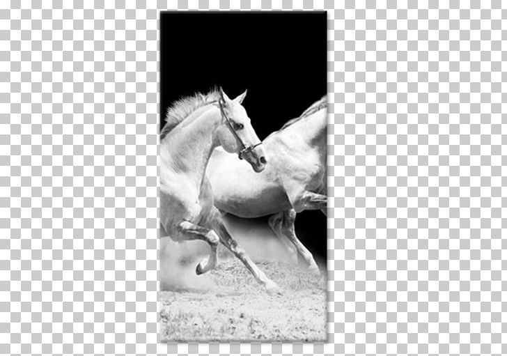 Horse Black And White Frames Painting Animal PNG, Clipart, Animal, Animals, Art, Artikel, Black And White Free PNG Download