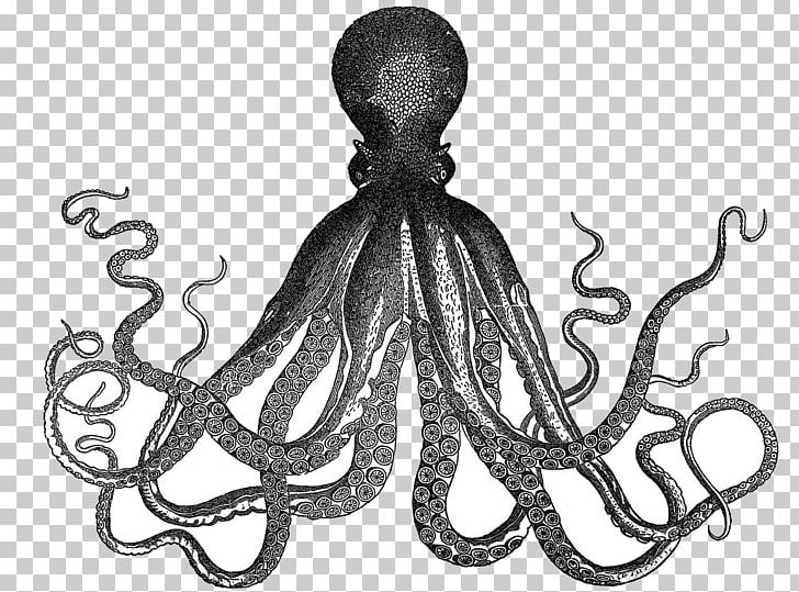Octopus Kraken Etsy PNG, Clipart, Black And White, Callistoctopus Macropus, Cephalopod, Clip Art, Craft Free PNG Download