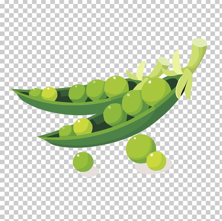 Soybean PNG, Clipart, Arts, Bean, Depositphotos, Film Strip, Food Free PNG Download