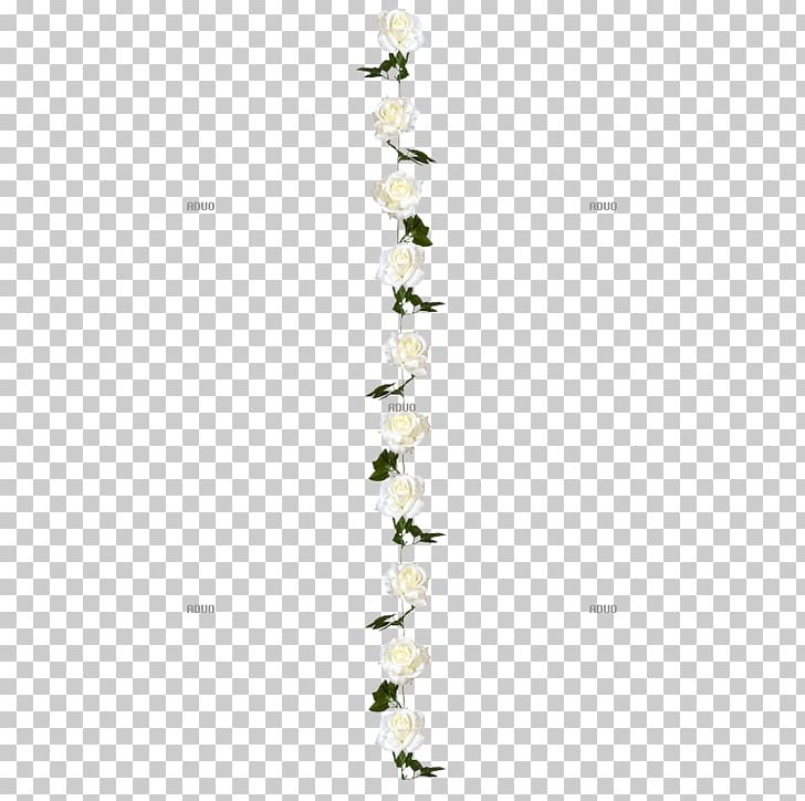 White Cut Flowers Garland Green PNG, Clipart, Branch, Centimeter, Cut Flowers, Flora, Flower Free PNG Download