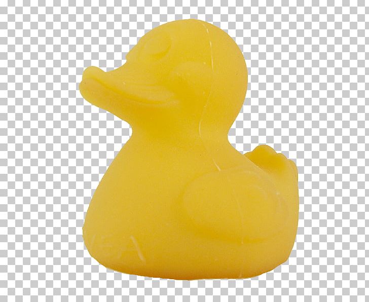 Duck Product Design Beak PNG, Clipart, Beak, Bird, Duck, Ducks Geese And Swans, Water Bird Free PNG Download