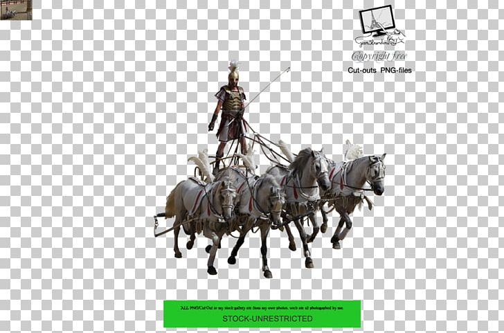 Horse Tack Chariot Wagon Horse Harnesses PNG, Clipart, Animals, Chariot, Deviantart, Horse, Horse Harness Free PNG Download