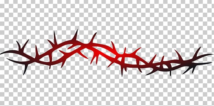 Thorns PNG, Clipart, Antler, Barbwire, Clip Art, Crown Of Thorns, Drawing Free PNG Download