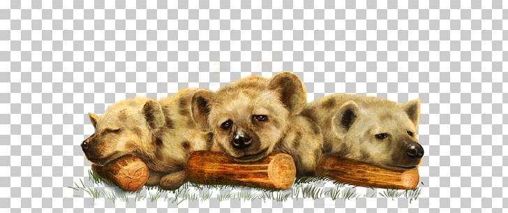 Tibetan Spaniel Lion Animal Polar Bear PNG, Clipart, Animal, Animals, Bear, Carnivoran, Cuteness Free PNG Download