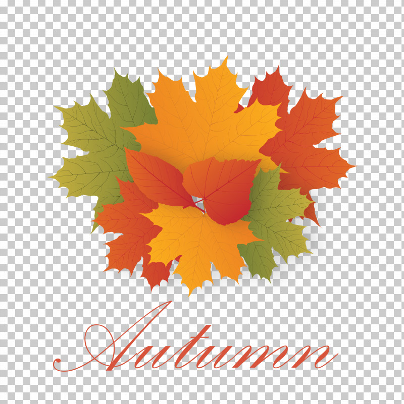 Hello Autumn Welcome Autumn Hello Fall PNG, Clipart, American Senior Benefits Llc, Biology, Computer, Hello Autumn, Hello Fall Free PNG Download