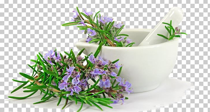 Herb Rosemary Mediterranean Cuisine Thyme Stock Photography PNG, Clipart, Costochondritis, Culinary Art, Fennel, Flavor, Flowerpot Free PNG Download
