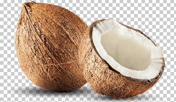 Coconut Water Coconut Milk Nata De Coco PNG, Clipart, Arrack, Bengal, Coconut, Coconut Cream, Coconut Milk Free PNG Download